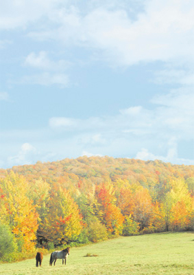 Automne