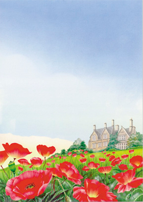 decadry-a4-paper-poppies-dpf659
