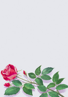 decadry-a4-paper-rose-dpf680