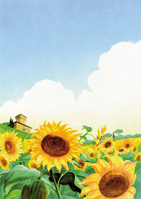 decadry-a4-paper-sunflowers-dpf672