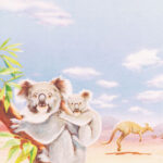 decadry-themed-paper-koala-dpf615